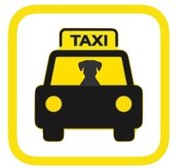 affordable professional dog taxi pet taxi service in singapore