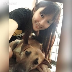 guan ling professional dog walker, canine caregiver and pet taxi provider